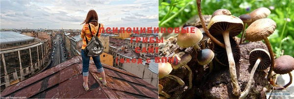 каннабис Володарск