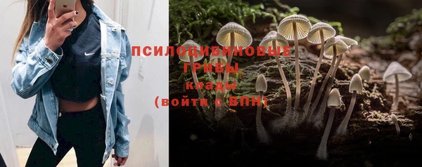 молекула духа Верея