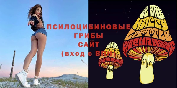 твердый Волоколамск